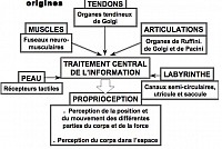Cliquez sur l'image pour l'agrandir